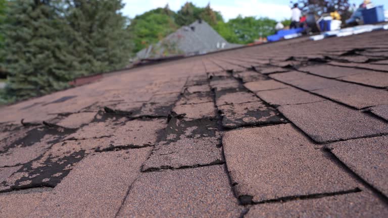 Best Wood Shake Roofing  in Northport, NY