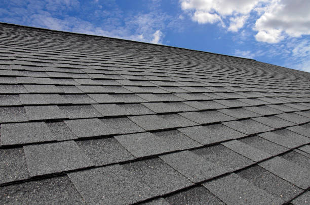 Best Skylight Installation and Repair  in Northport, NY
